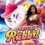 Play BIG 444 APK – Casino Game Fun at Your Fingertips | download BIG 444 casino apk latest version 3